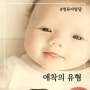 [유아교육] 애착의 유형 4가지 안정 회피 저항 혼돈 애착