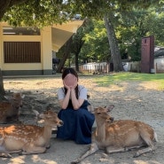 오사카 나라공원 가는방법 포함 백프로 즐기기 꿀팁