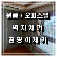 원룸 오피스텔 곰팡이제거와 벽지제거까지만 진행했습니다.