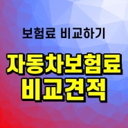 다이렉트 자동차보험료비교견적사이트 장단점 세세하게 알아보세요