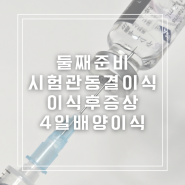 시험관 동결이식 2차 4일배양 이식 후 증상정리 임테기지옥시작 1차피검