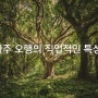 [오늘의 사주 명리학] 사주 오행의 직업적인 특성에 대해 알아보겠습니다. (전화 사주상담)