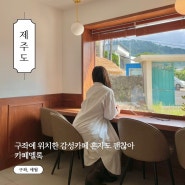 제주 애월 카페멜록 혼자가도 괜찮은 감성카페 쿠키귤필수