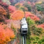 경기도 광주 곤지암 화담숲 모노레일 예약 정보