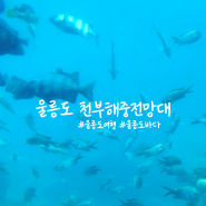 [울릉도 여행후기] 울릉도가볼만한곳 천부해중전망대