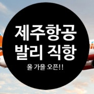 발리 자유여행 가이드 - 제주항공 발리 직항 오픈 예정~!