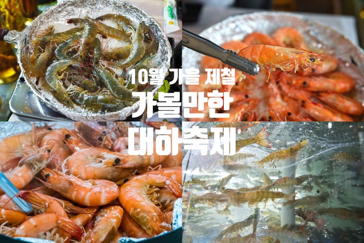 10월 가을 제철 가볼만한 대하축제 : 네이버 블로그
