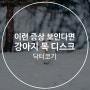 이런 증상 보인다면 강아지 목 디스크 의심