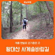 가을에 걷기좋은 '왕대산 사계솔바람길' | 계룡 여행