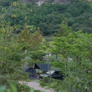 울산 작천정 달빛야영장 달빛존 5번 사이트 캠핑 후기