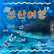 부산여행) 아기랑 부산 여행-해담, 씨라이프 부산 아쿠아리움, 광안리 드론 라이트쇼