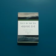 바닷가의 루시 _ 엘리자베스 스트라우트