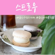 울산 울주군 선바위 카페 마카롱 원탑 스트로우