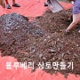 20240915 소나무 유기물과 화분용 상토만들기