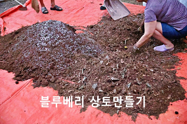 20240915 소나무 유기물과 화분용 상토만들기 : 네이버 블로그