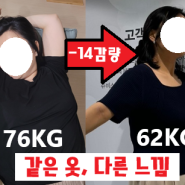 쥬비스 후기 워킹맘의 14kg 감량 과정 공개합니다