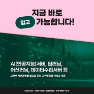 GPU서버관리 최대 100A전력제공! 40%저렴하게