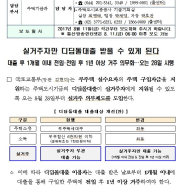 디딤돌 신생아특례대출 실거주의무 | 주택담보대출 국토교통부 표본조사 방법