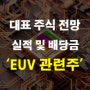 EUV 관련주 에스앤에스텍 에프에스티 ASML 주가 주식 및 배당금 실적 전망