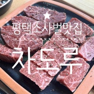 평택소사벌맛집 차도루 가성비갑 배터지게 먹은 후기