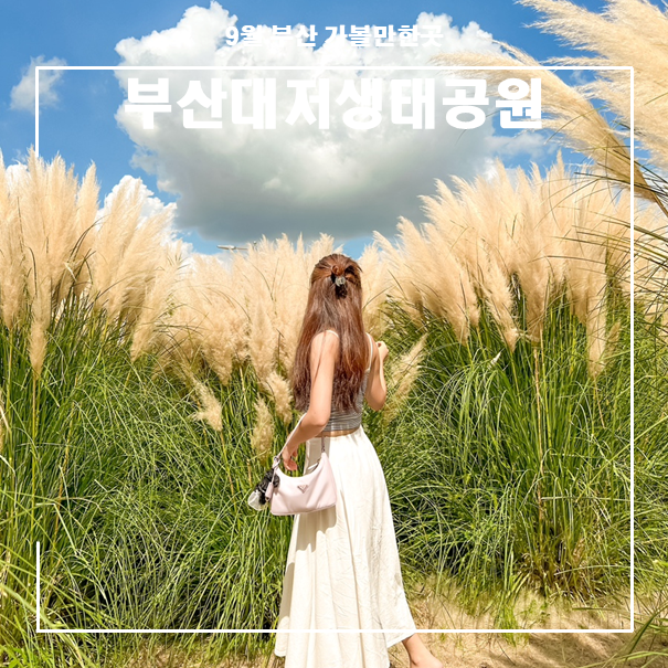9월에 부산 강서구 가볼만한곳 부산 대저생태공원 산책로...