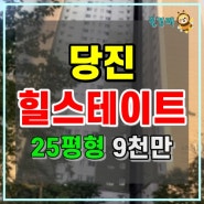 당진아파트반값경매 힐스테이트당진2차 반값아파트