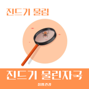 진드기 물린자국 야생 물림 증상 및 치료 예방 알아보기