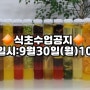 천연발효식초 블랜딩 만들기 수업 / 식초자격증취득가능 /과일식초/ 한약재식초 / 허브식초/저당식초/ 꽃식초/ 착즙식초 / 무설탕식초 /배우는곳 / 클래스