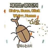 벌레 우는 소리는 영어로?? chirp, buzz, click, whirr, humm의 차이점