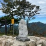 [덕숭산 등산코스/최단코스]수덕사→정상(495M)⛰