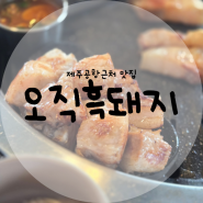 제주도 맛집 제주공항근처맛집 고기구워주는 오직흑돼지 다녀왔어요