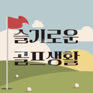 명지 골프샵 남자 중고 풀세트, 여자 신품 풀세트 동시 구매 후기