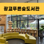 광교 아이랑 갈만한곳 푸른숲도서관 주차요금 플리마켓 책숲마실