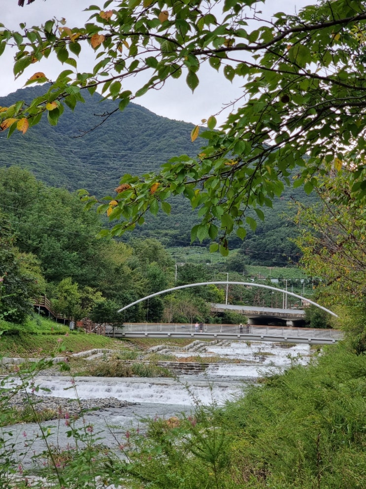 김해 장유 굴암산과 화산 기슭의 배산임수 팔판마을 율하천(신안천)의 신 십승지지 수려한 생태하천 전경 : 24.9.22 ...