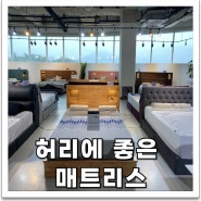 허리에좋은 매트리스 직접 체험을 권장하는 이유