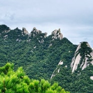 북한산국립공원(송추)…역시! 산바람이 예술~!