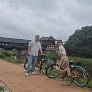 경주여행 자전거대여 타실라 이용방법 및 후기