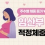 임산부 체중 증가 걱정과 임신 주수별 체중 관리법