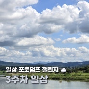 일상 포토덤프 챌린지 9월 셋째 주 기록