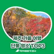 제주 가을 여행 코스 제주 단풍 명소 TOP3