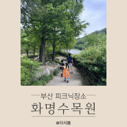 부산 화명수목원 봄 가을 소풍 가기 좋은 부산 피크닉 장소