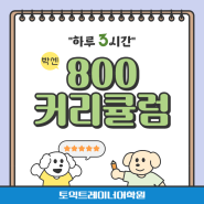 울산토익학원 800반 3시간강의 커리큘럼