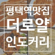 경기 평택역 인도 커리 맛집 - 더 로얄 인디안 레스토랑 후기