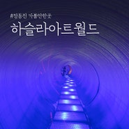 강릉 정동진 가볼만한곳 포토존 가득 하슬라아트월드