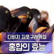 바다의 맛이 느껴지는 고소한 홍합의 효능