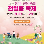 "2024 제6회 마법같은 사랑이야기 양주 천만송이 천일홍축제 미리보기" 천일홍축제 주차 꿀팁