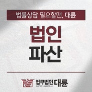 법인파산대표 법적 책임 면책 사안은