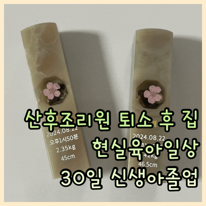이든 사진 2