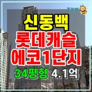 기흥구아파트경매 신동백롯데캐슬에코1단지 10층