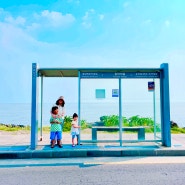 김포공항 국내선 주차대행 서비스 업체